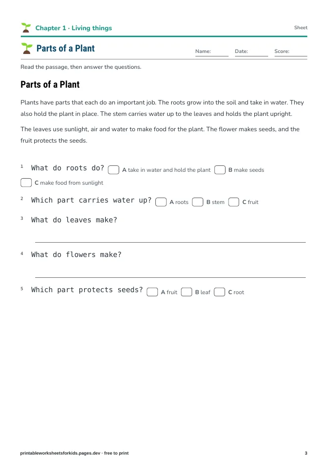 Grade 2 Science Explorers – Practice sheet