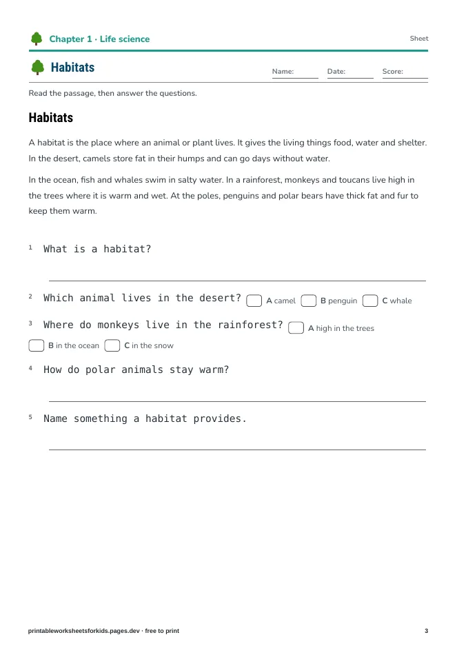 Grade 3 Science Explorers – Practice sheet